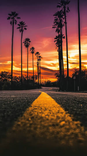 Ταπετσαρία Πορτρέτο Δρόμου Sunset Boulevard — Ηλιοβασίλεμα λεωφόρος Ταπετσαρία
