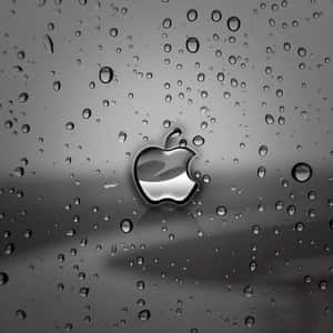 Σκούρο χαριτωμένο iPad