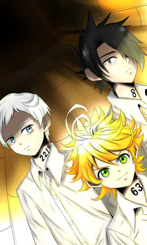 Φόντο Promised Neverland — Huawei Pura X View Ταπετσαρία