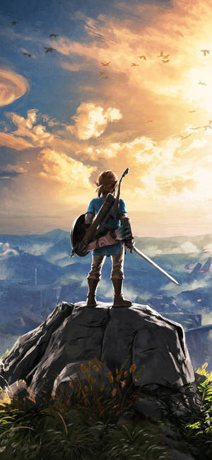 HD εικόνα χαρακτήρα Link Breath Of The Wild wallpaper — iPhone Xs Ταπετσαρία