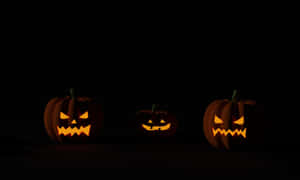Φόντο Κολοκύθι Halloween — Χάλοουϊν GIF Ταπετσαρία