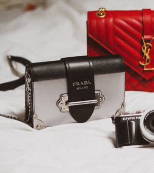 Ταπετσαρία Τσάντες Prada και YSL — Nubia Flip Ταπετσαρία