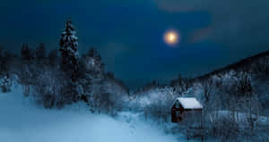 Εικόνες Νυχτερινού Φεγγαριού