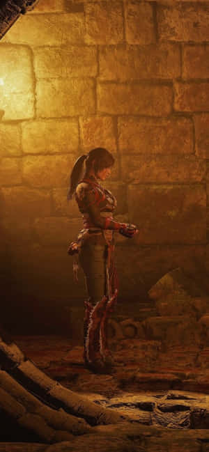 Φόντο Pixel 3 Shadow Of The Tomb Raider — OnePlus 13 Ταπετσαρία