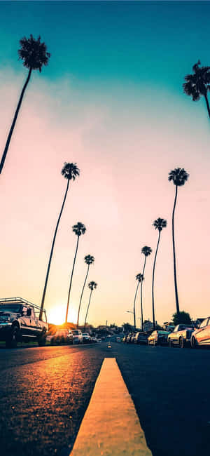 California Summer — Ζεστό Ταπετσαρία