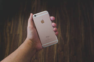 Ταπετσαρία με χέρι που κρατάει rose gold iPhone 6