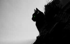 Εικόνες Μαύρης Γάτας — Cat Noir Ταπετσαρία