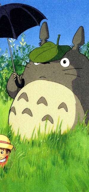 Χαριτωμένο Totoro αισθητική ταπετσαρία Tumblr — iPhone Xs Ταπετσαρία