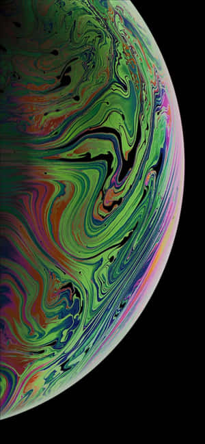 Χαριτωμένο Wallpaper με Κοάλα για iPhone — iPhone X Ταπετσαρία