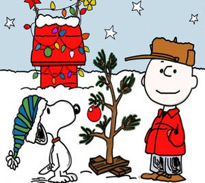 Ταπετσαρία Χριστουγεννιάτικα Αστέρια του Snoopy — Snoopy χριστούγεννα Ταπετσαρία