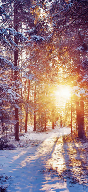 Iphone Xs Max Winter Background — Moto G77 Ταπετσαρία