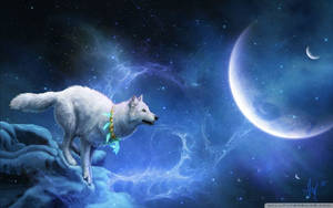 Ψαγμένος Πλανήτης Λύκου — Cool wolf Ταπετσαρία