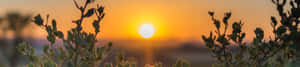 Φόντο φύσης 4K — 4K φύση GIF Ταπετσαρία